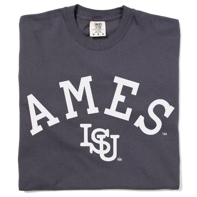 Women's Transitional Garments Ames Vintage Curved Logo Heavyweight Charcoal