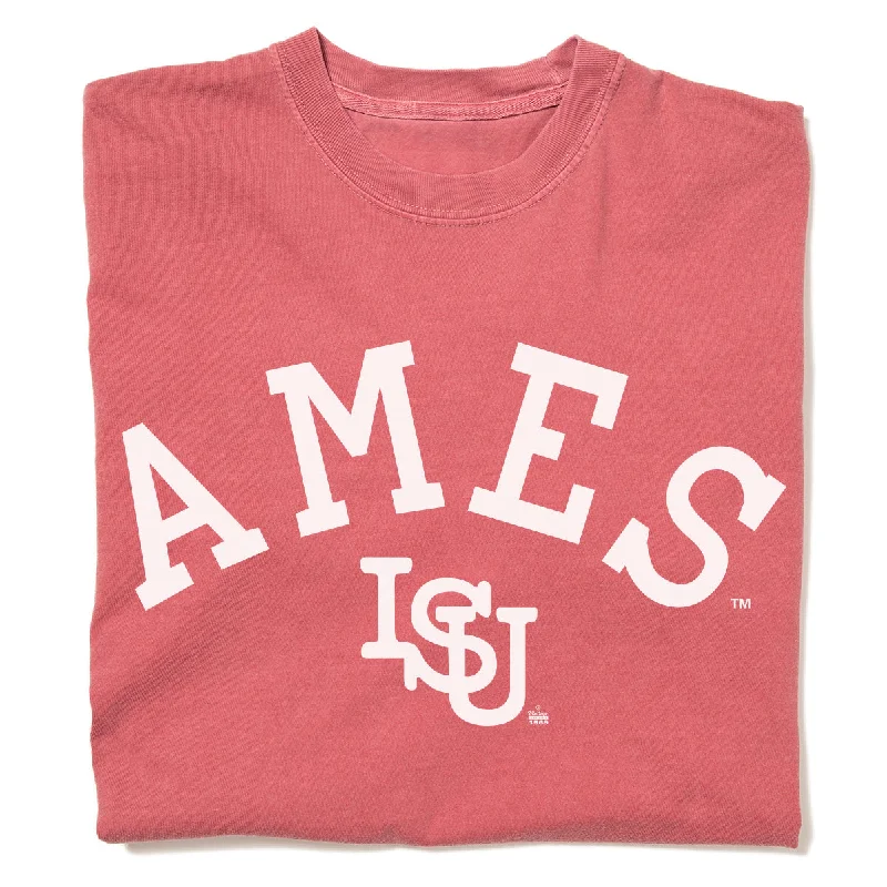 Women's High-Fashion Garments Ames Vintage Curved Logo Heavyweight Red